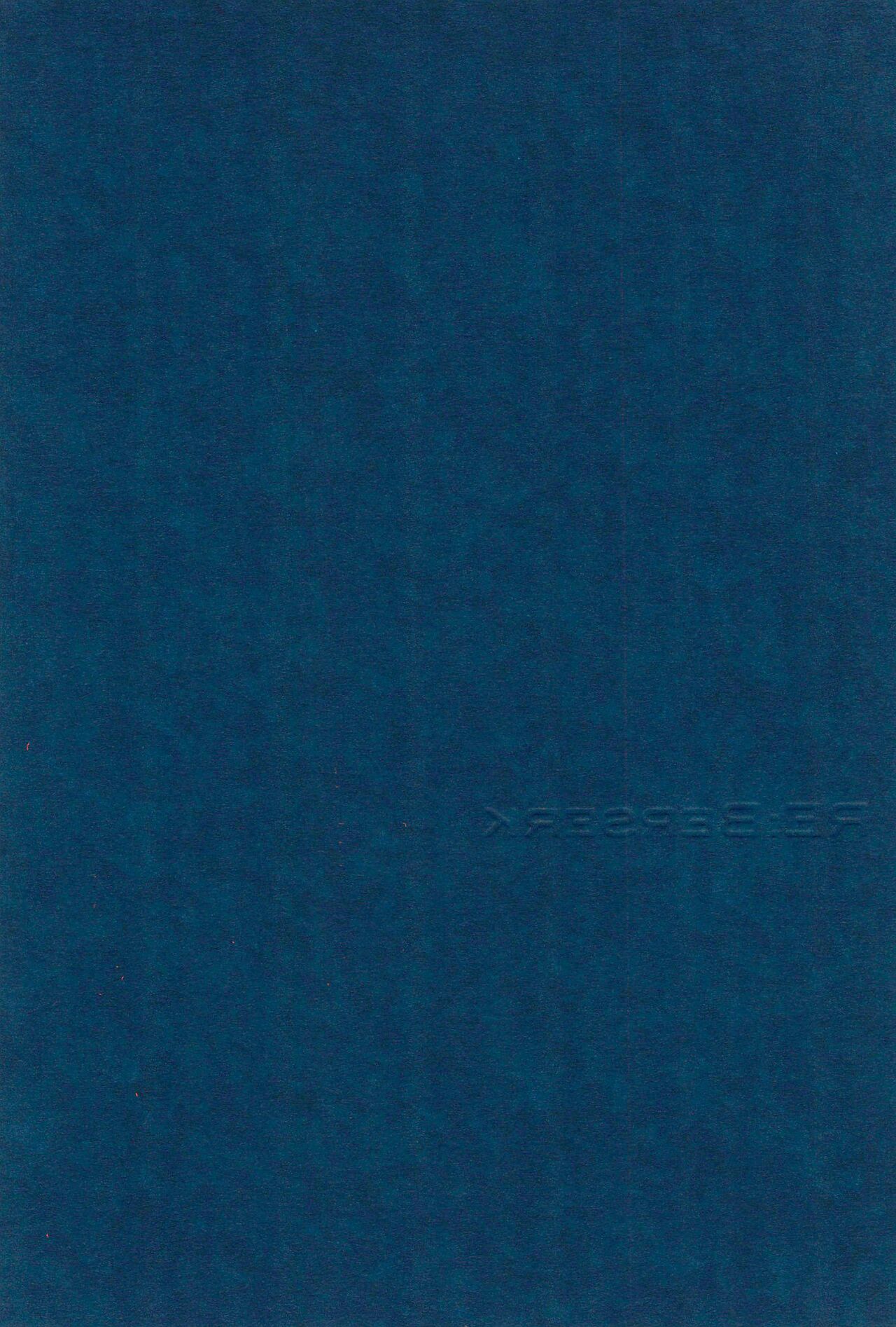 RE:BERSERK page 2 full