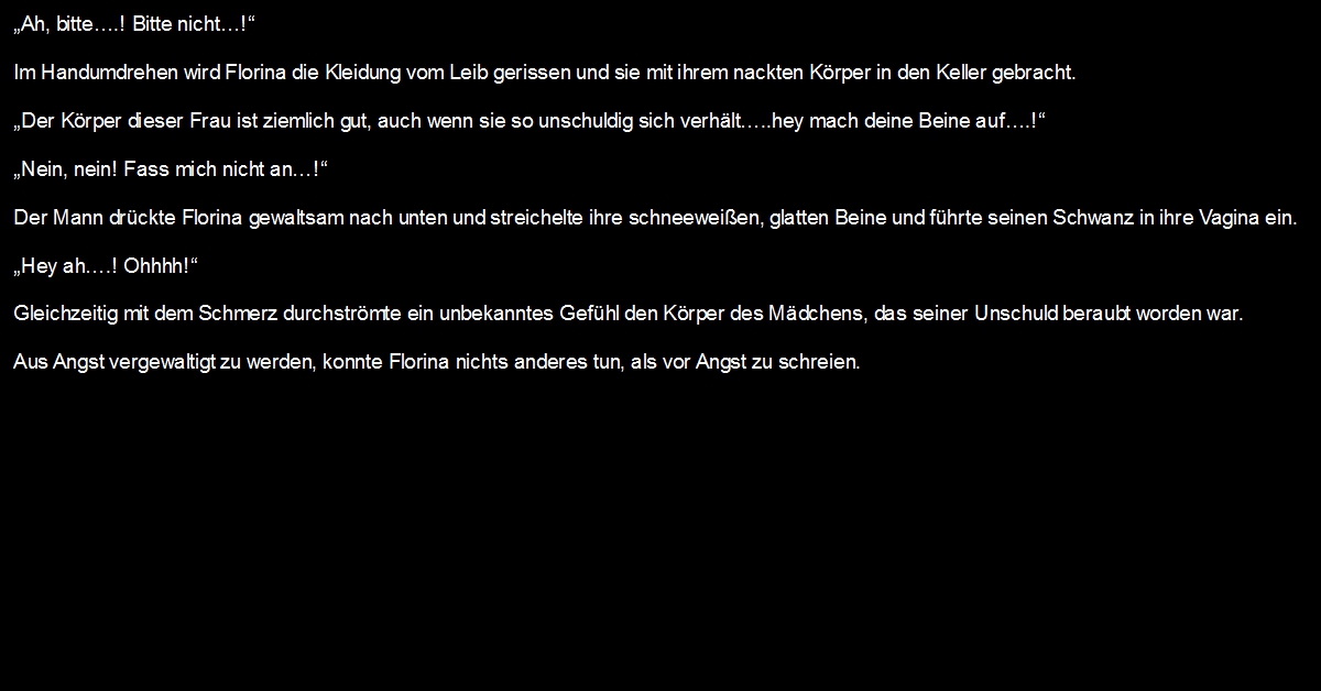 Fire Emblem Rekka no Ken CG Shuu 2  German Version page 3 full