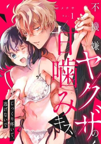 Fukigen Yakuza no Amakami Kisu Jikkuri Uzuite, Nigenaide  1 cover