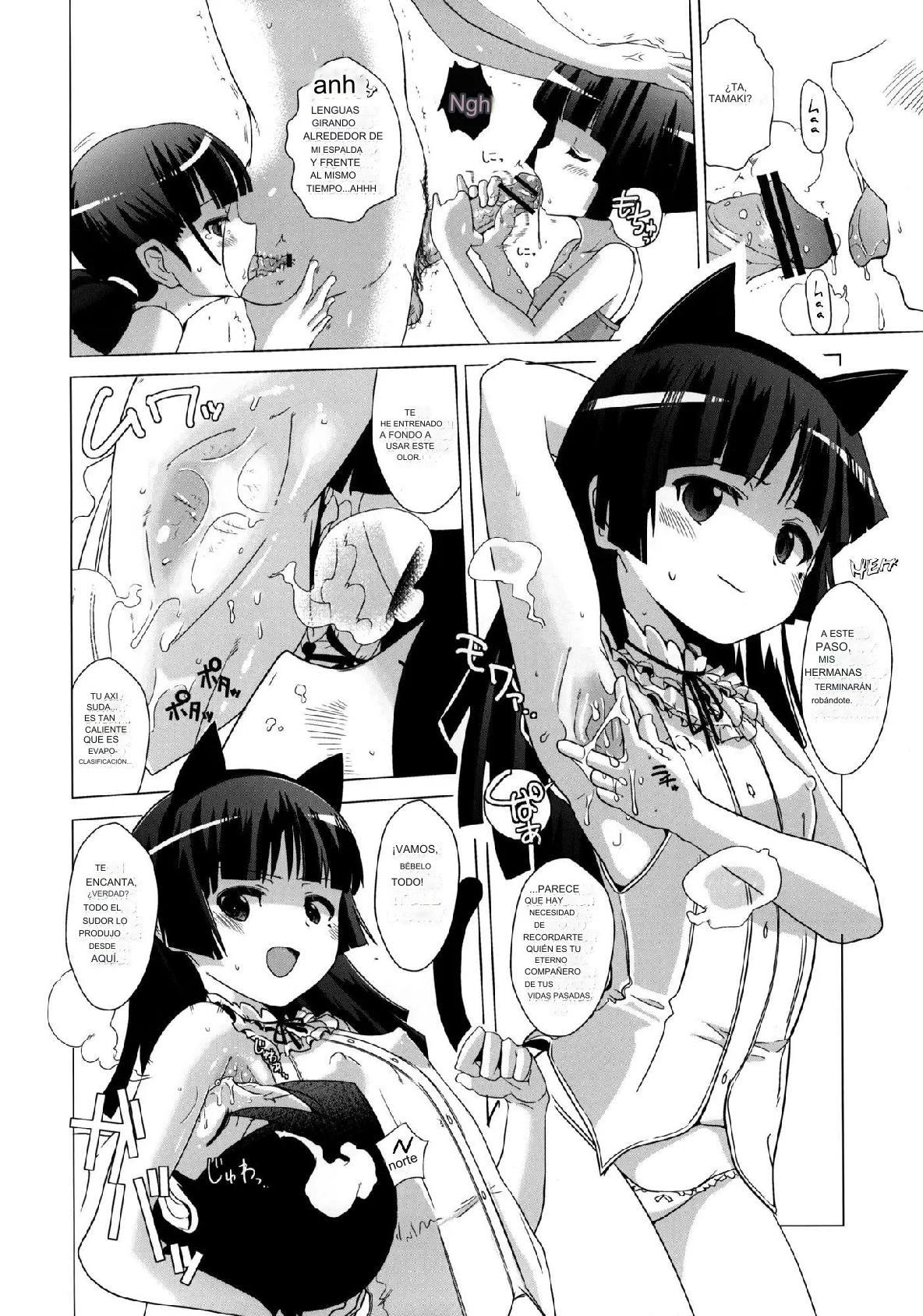 Kuroneko-tei no Hidoku Yasashii Shimai | Las Hermanas Cruelmente Amables de la Finca Kuroneko page 9 full