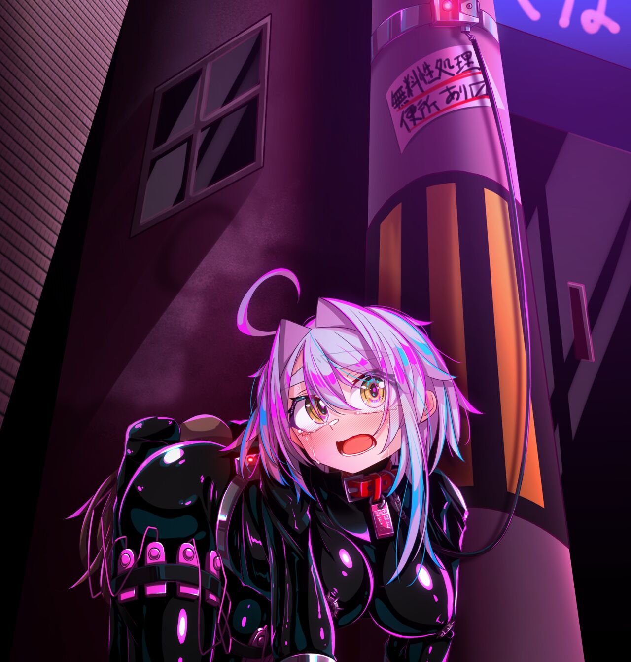 ヒトイヌ奴隷、お仕置き強制露出脱出ゲーム page 3 full