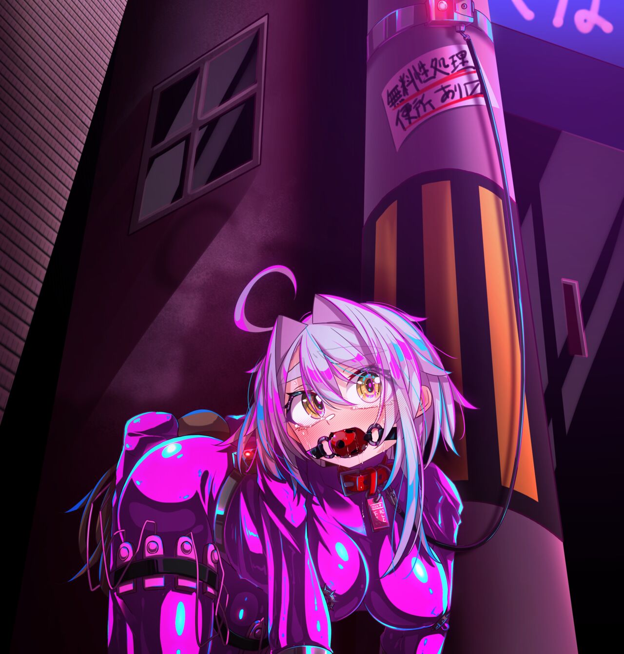 ヒトイヌ奴隷、お仕置き強制露出脱出ゲーム page 5 full