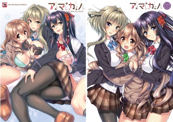 The Amakano Visual Fan Book cover
