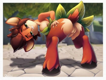 Elora cover