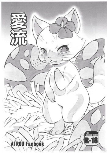 Airou cover