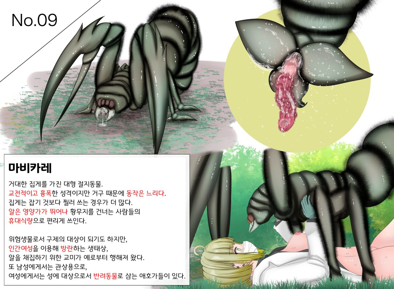 Mushi Research Report No.9 page 1 full