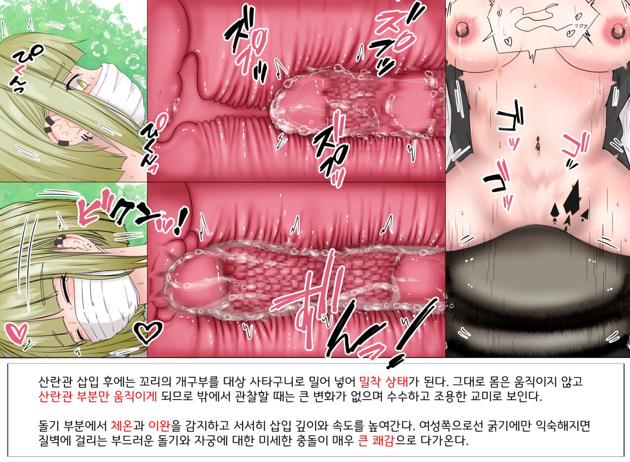 Mushi Research Report No.9 page 3 full