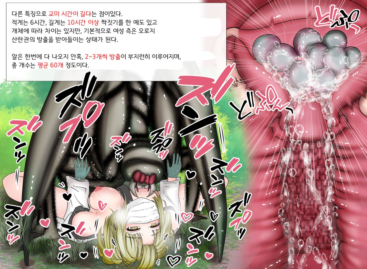 Mushi Research Report No.9 page 4 full