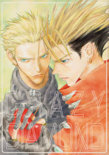 Crazy Diamond cover
