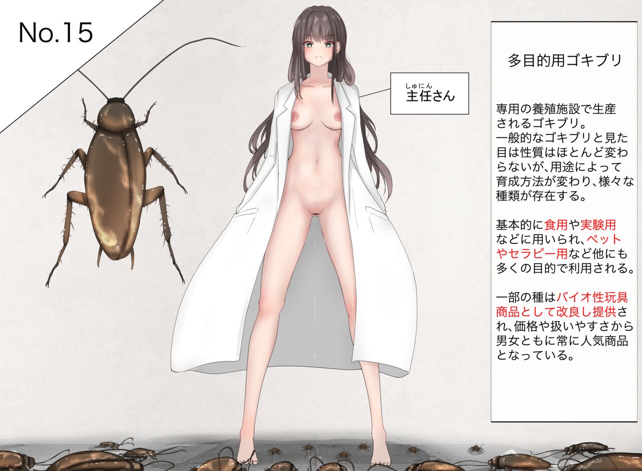 Insect research report No.15 page 1 full