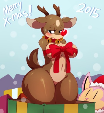 Holidays Collection cover