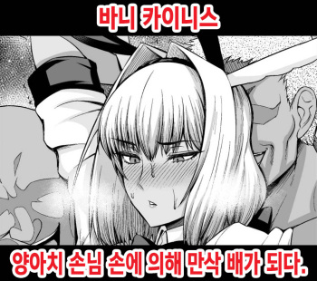 Bunny Caenis, Chinpira Kyaku ni Bote Hara ni Sareru | 바니 카이니스, 양아치 손님 손에 의해 만삭 배가 되다. cover