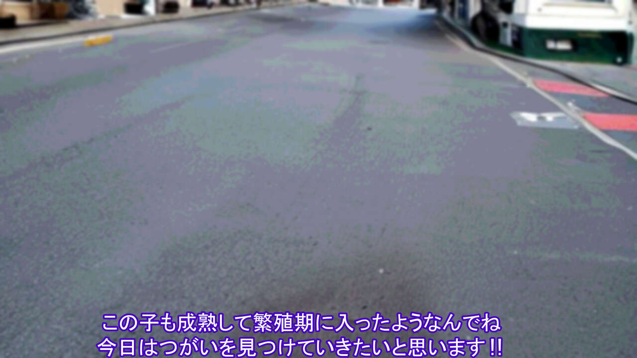 Hentai!! Seibutsu Kansatsu Channel ~Pet no G to Yasei no JK o Koubi sasete mita~ page 5 full