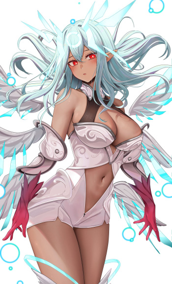 Amaryllis cover