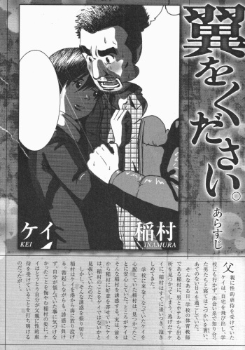 Tsubasa o Kudasai. Part 2 cover