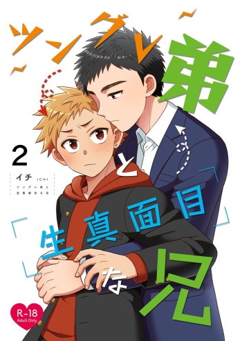 Tsungure Otouto to Kimajime na Ani ２ cover