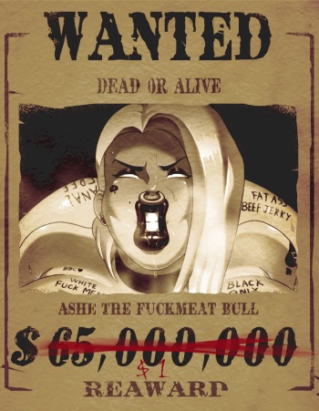 Ashe cover