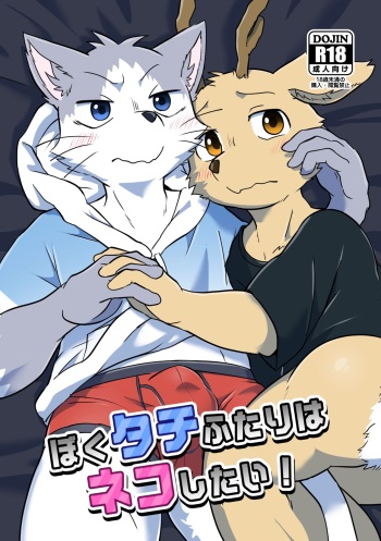 Boku-Tachi Futari wa Neko shitai! cover