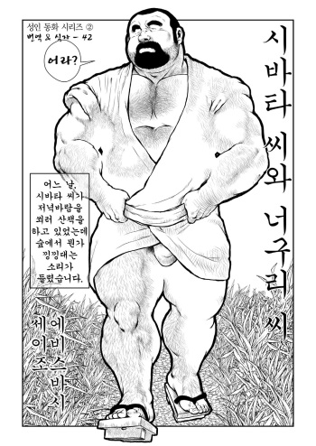 Shibata-san to Tanuki-san | 시바타 씨와 너구리 씨 cover