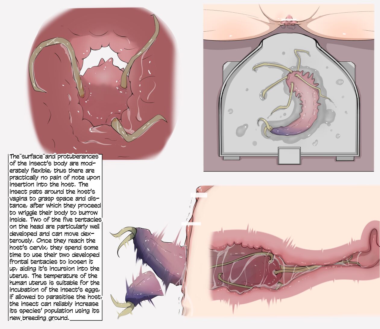 Insect Research Report No.1-6 page 4 full