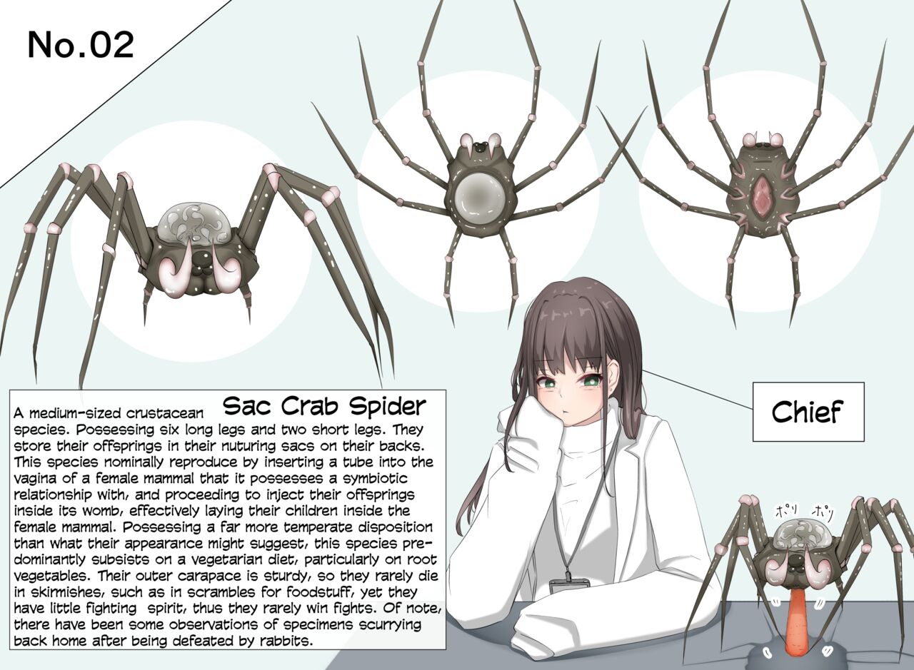 Insect Research Report No.1-6 page 5 full