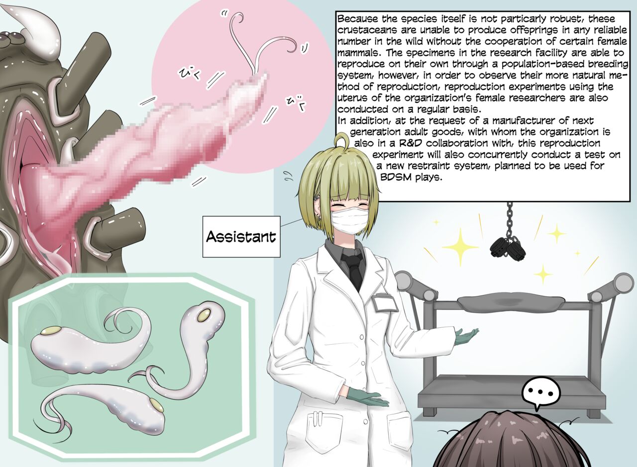 Insect Research Report No.1-6 page 6 full