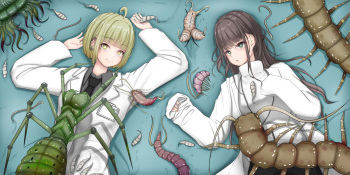 Insect Research Report No.1-6 cover