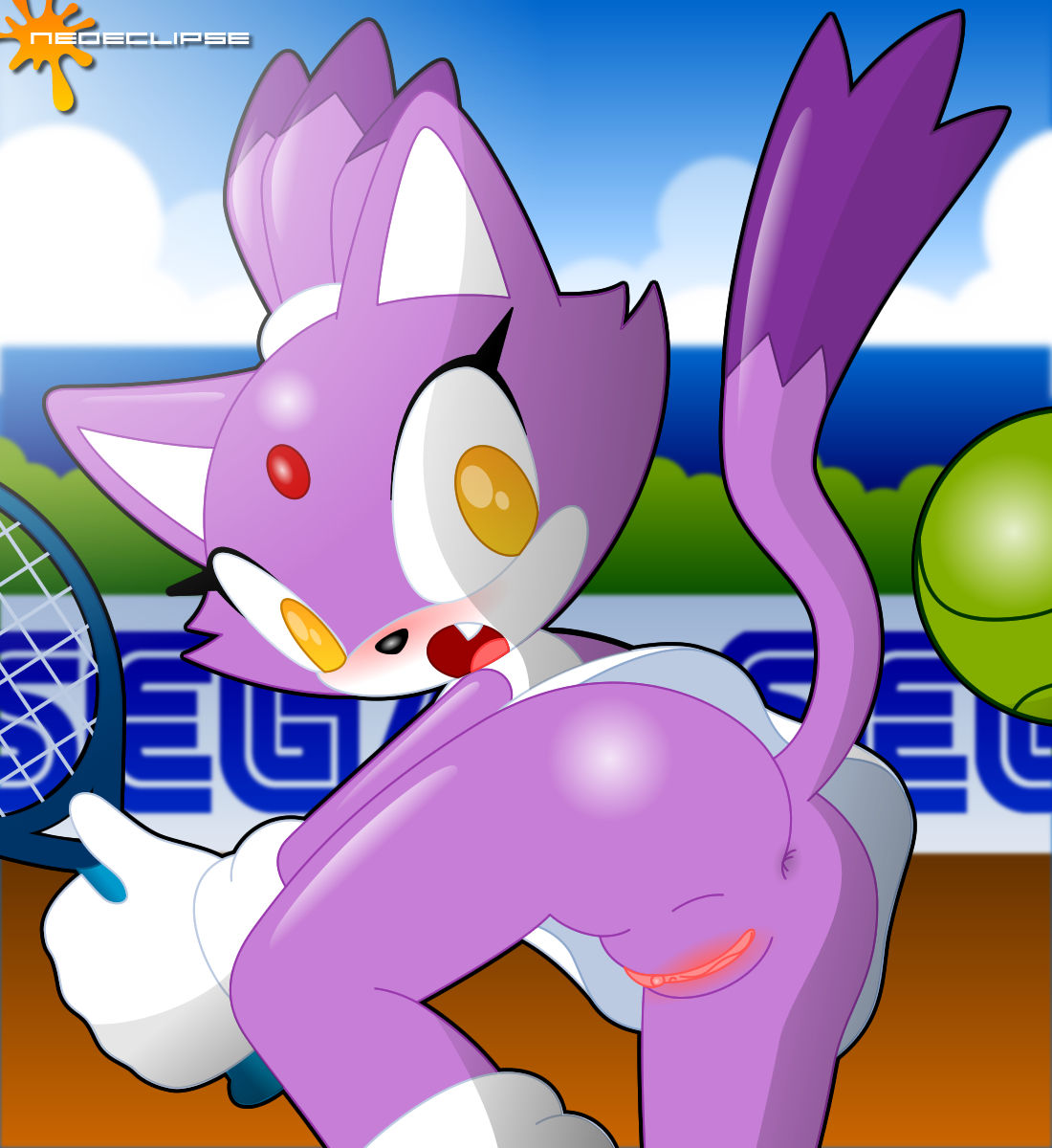 Furry - Blaze The Cat Collection page 3 full