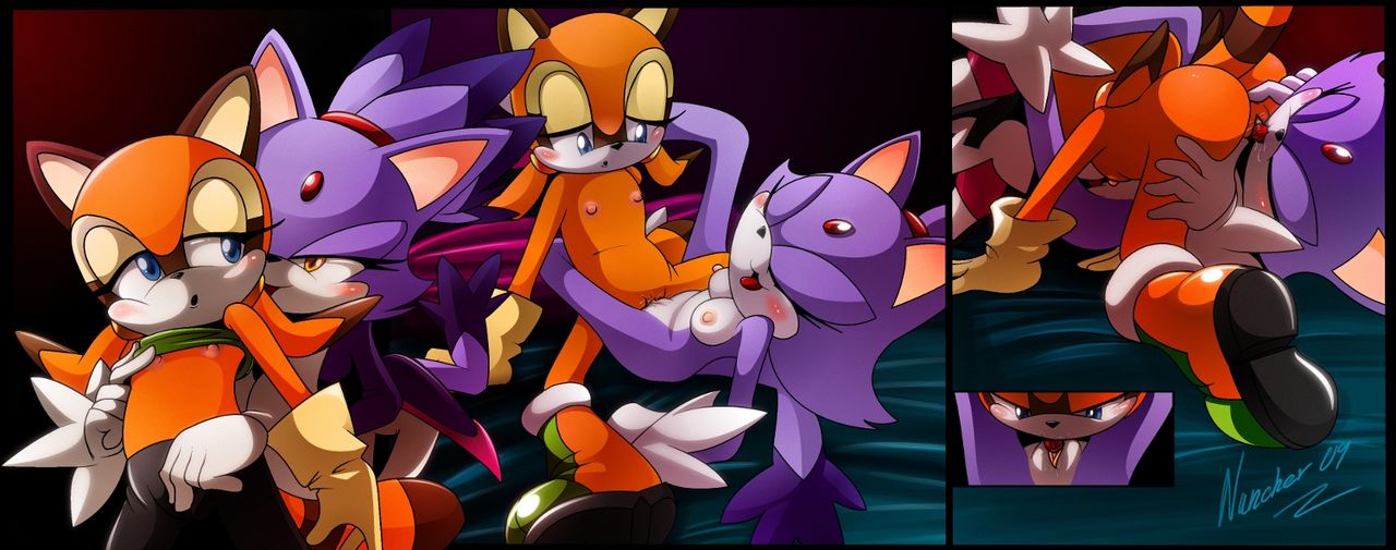 Furry - Blaze The Cat Collection page 5 full