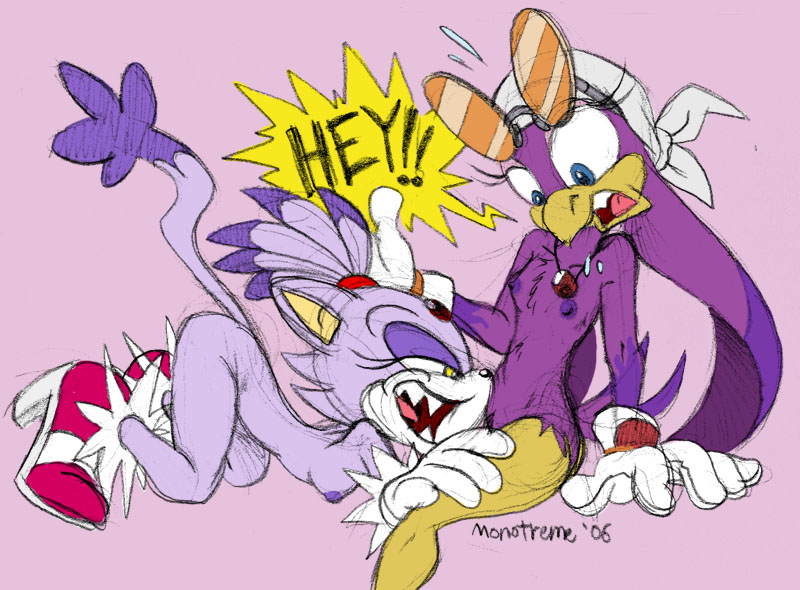 Furry - Blaze The Cat Collection page 8 full