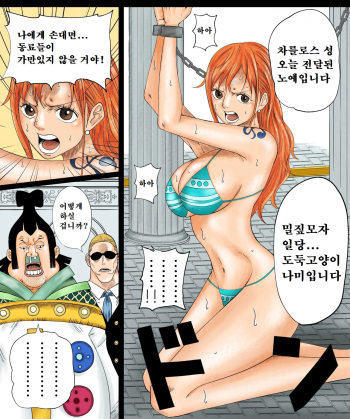 Nami-san Manga | 나미가 천룡인에 납치된 만화 cover