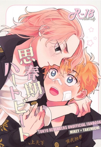 Shishunki Heartbeat cover