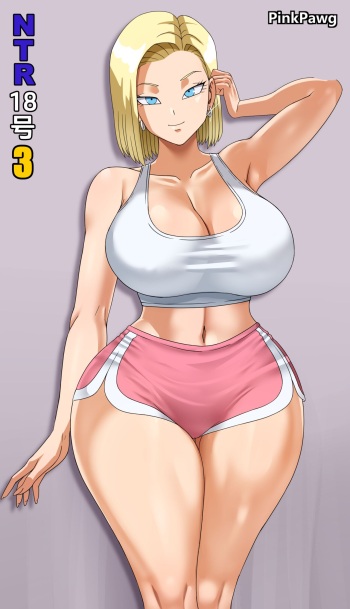 18 NTR 3 CG cover