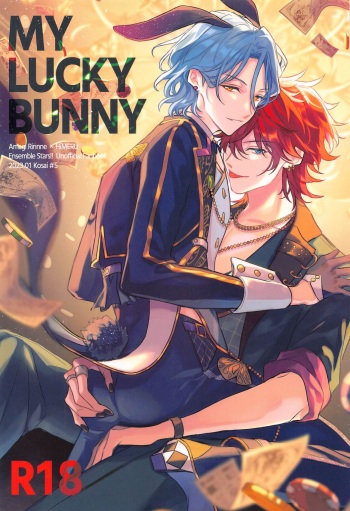 MY LUCKY BUNNY cover