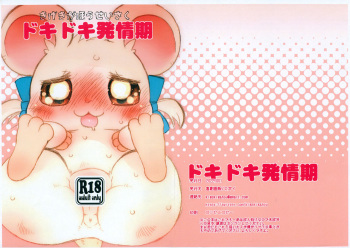 Doki Doki Hatsujouki cover