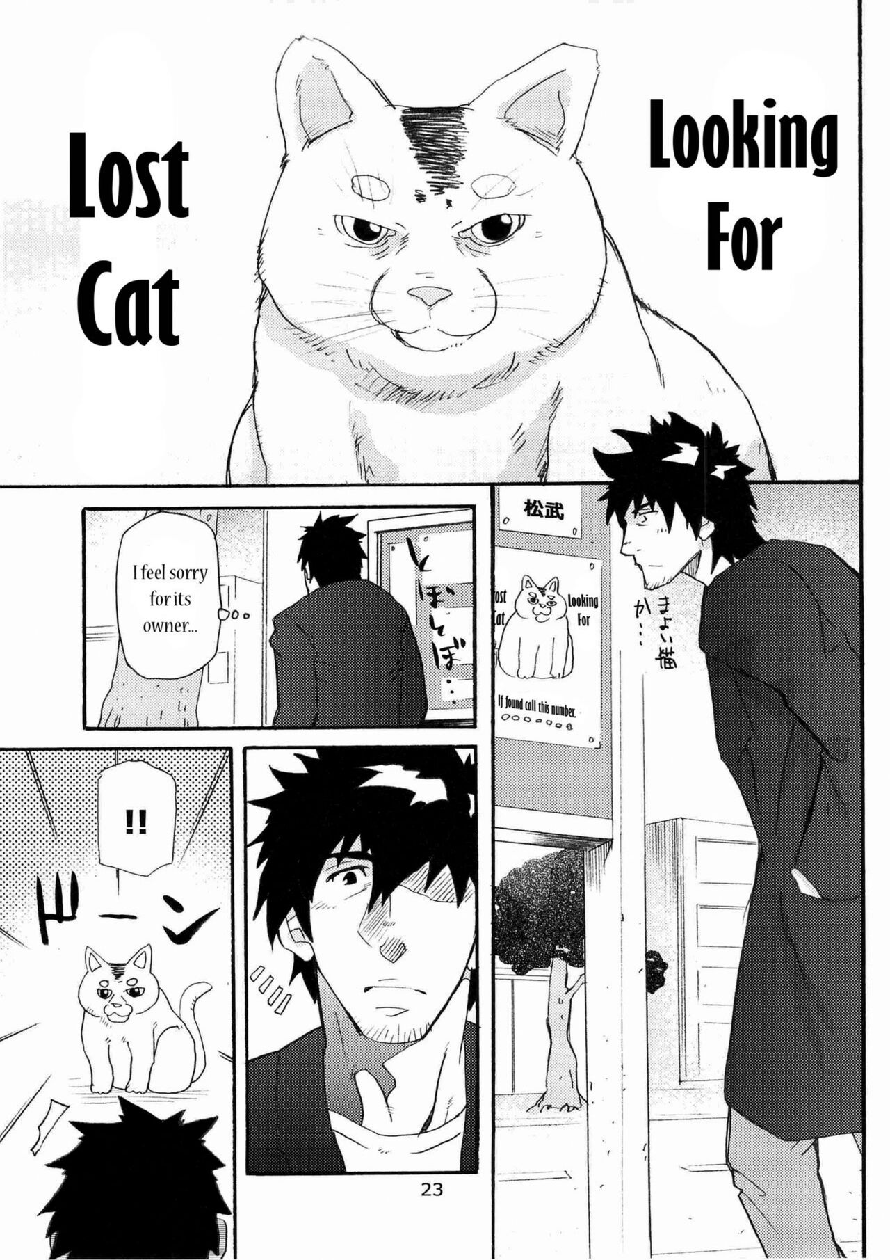 Looking For Lost Cat page 1 full