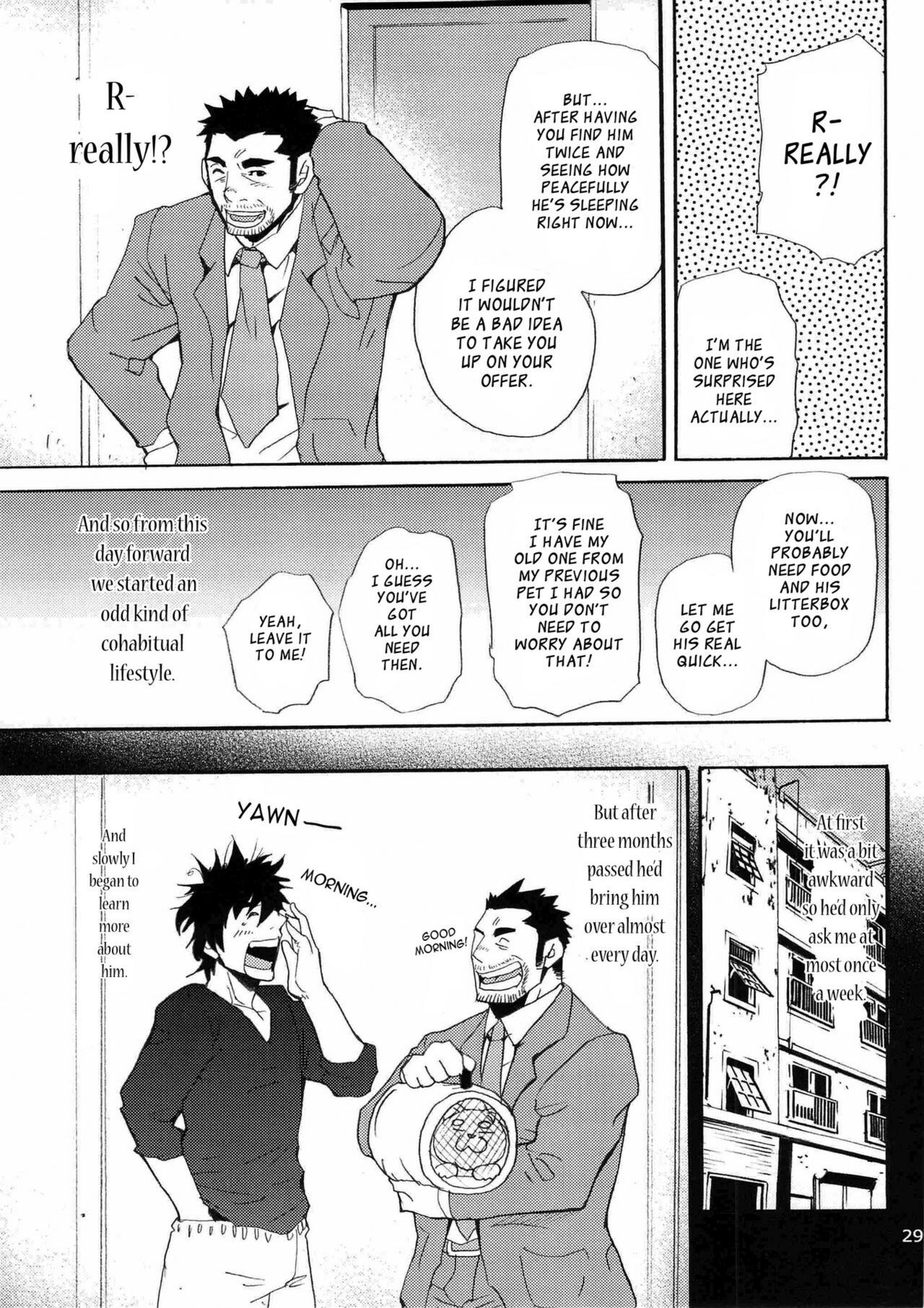 Looking For Lost Cat page 7 full