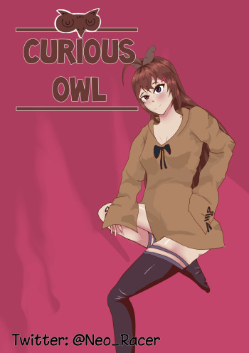 Curious Owl cover