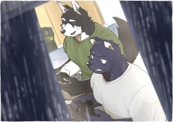 梅雨の日