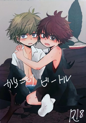 Karakomori Beetle cover