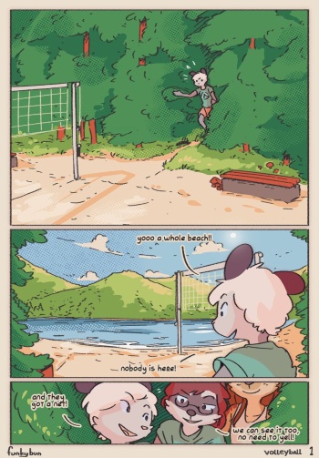 Volleyball cover
