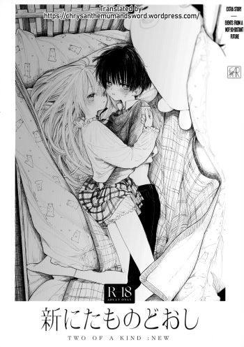 Shin Nitamonodooshi Bangaihen Chotto Mirai no Ohanashi. cover