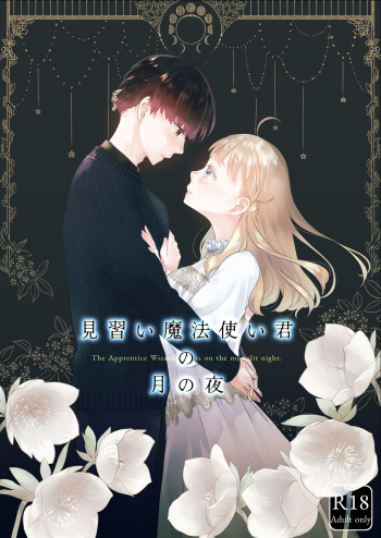 Minarai Mahoutsukai-kun no Tsuki no Yoru - The Apprentice Wizard is on the moonlit night. cover