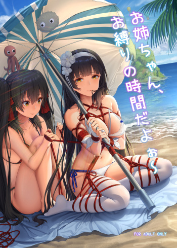 Onee-chan, Oshibari no Jikan da yoo~ cover
