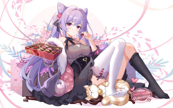 Guolianlian Keqing Set cover