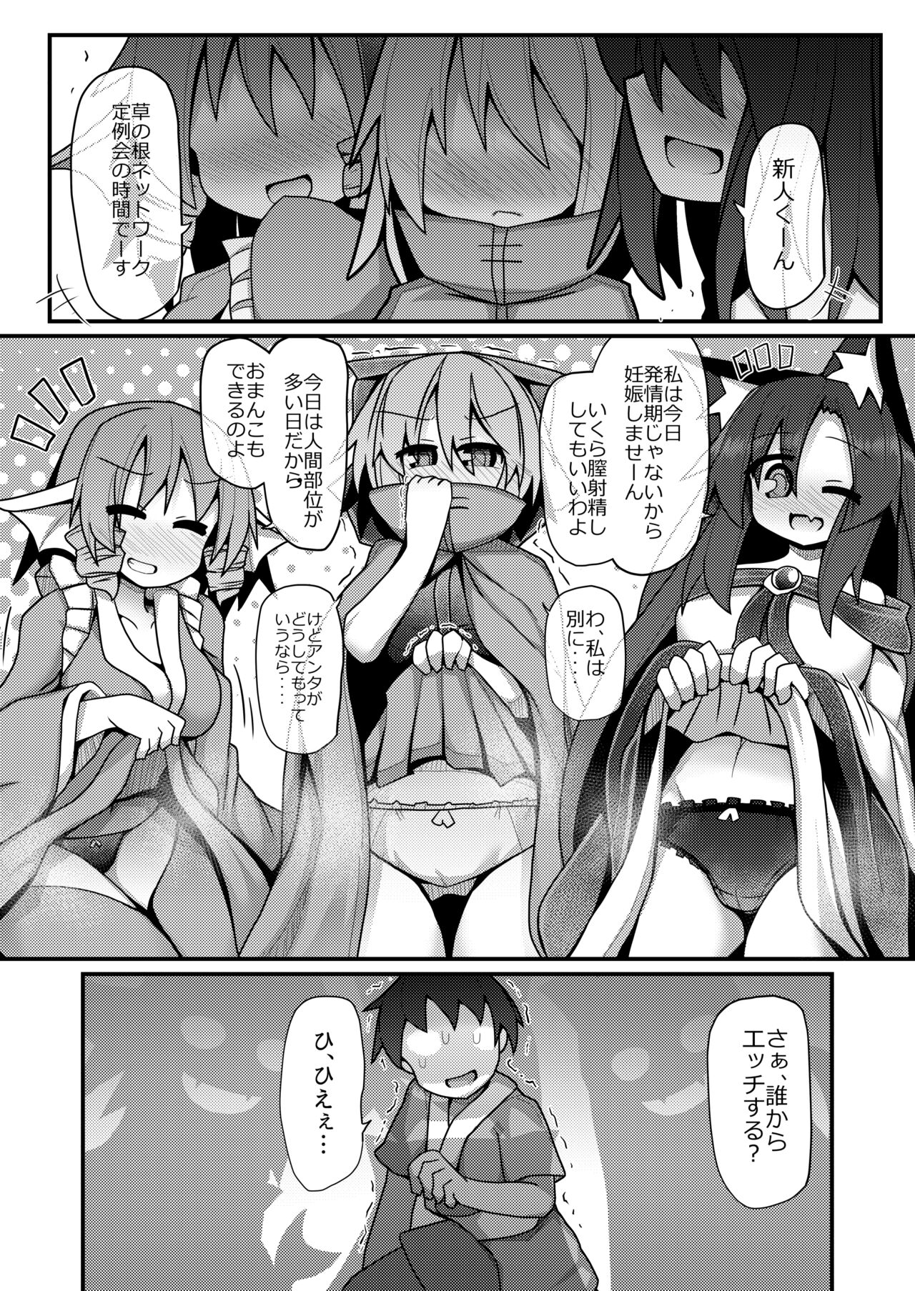夜の草の根妖怪ネットワーク page 2 full