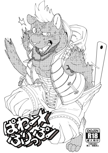Power Flip cover