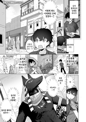 Kami-sama no Uragawa cover