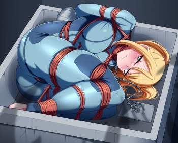 Zero Suit Samus Aran cover