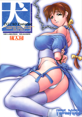 INU/AO Posterior cover